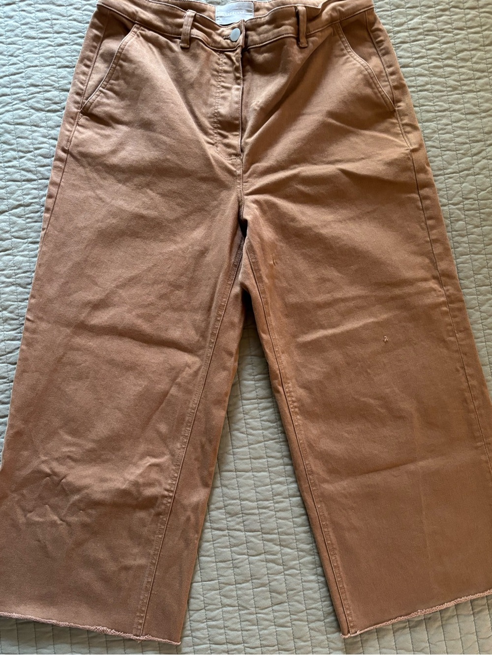 Everlane🍂🍁Cropped Wide Leg Pants